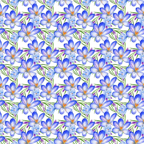 Patrón de flores de azafrán en un estilo de acuarela aislado . — Foto de Stock