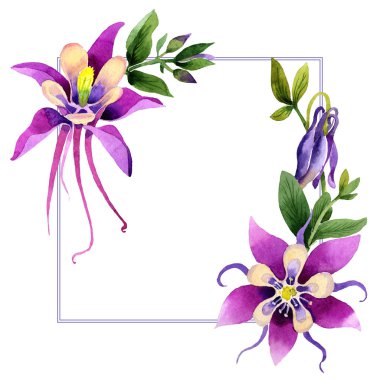 Kır çiçeği orkide çiçek çerçeve izole bir suluboya tarzında.