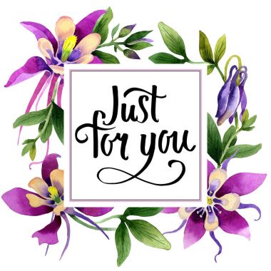 Kır çiçeği orkide çiçek çerçeve izole bir suluboya tarzında.