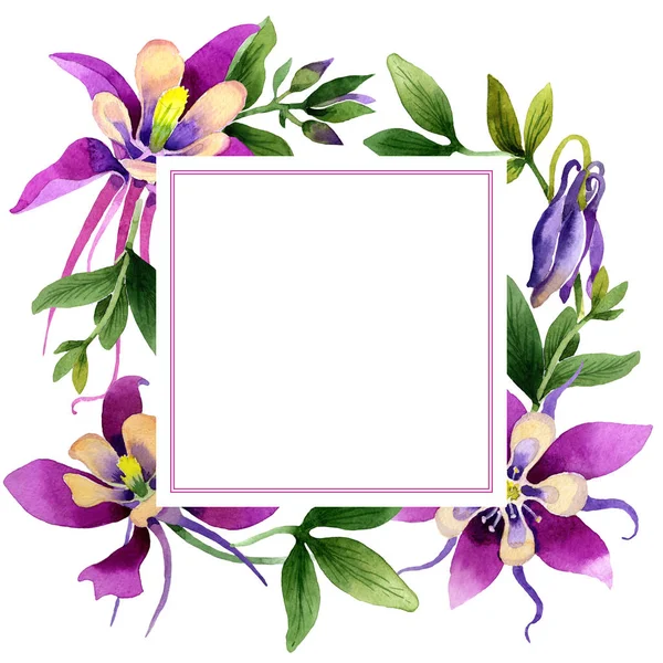Wildflower orchideebloem frame in een aquarel stijl geïsoleerd. — Stockfoto