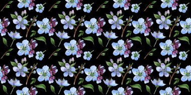 Kır çiçeği kiraz çiçek deseni izole bir suluboya tarzında.