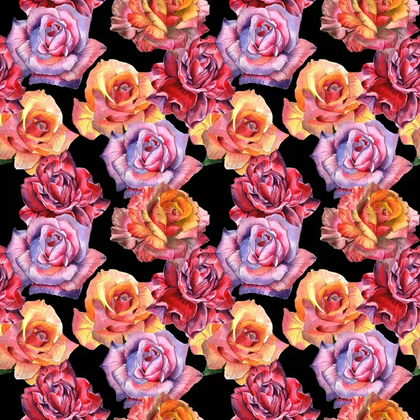 Wildflower ros blommönster i akvarell stil isolerade. — Stockfoto