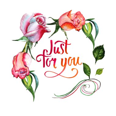 Kır çiçeği gül çiçek çerçeve izole bir suluboya tarzında.