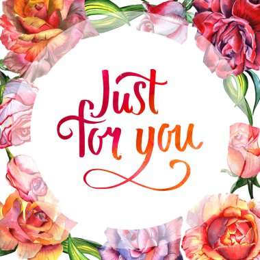 Kır çiçeği gül çiçek çerçeve izole bir suluboya tarzında.