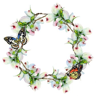 Kır çiçeği kızılcık çiçek çelenk izole bir suluboya tarzında.