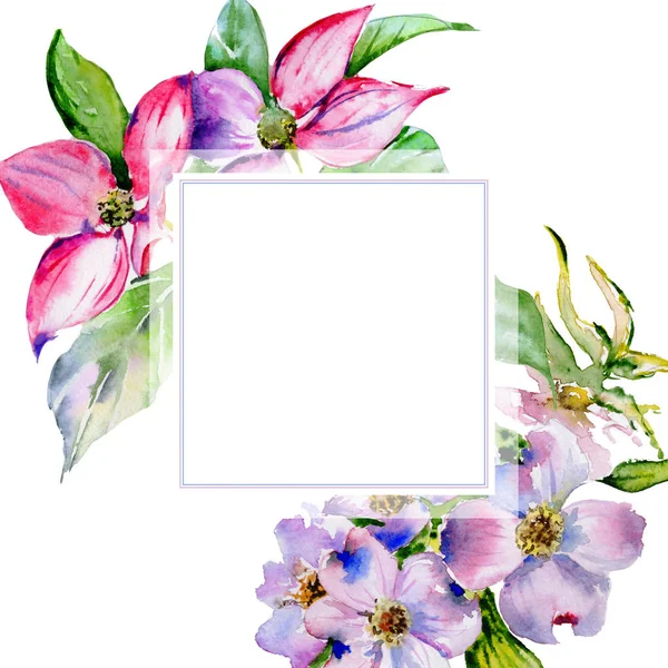 Wildflower dogwood flower frame in a watercolor style isolated. — Stock Photo, Image