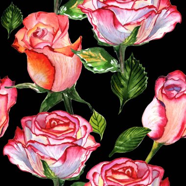 Kır çiçeği gül çiçek deseni izole bir suluboya tarzında.