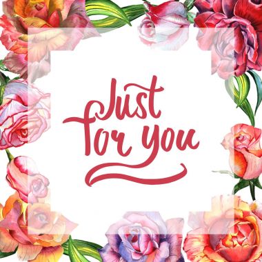 Kır çiçeği gül çiçek çerçeve izole bir suluboya tarzında.