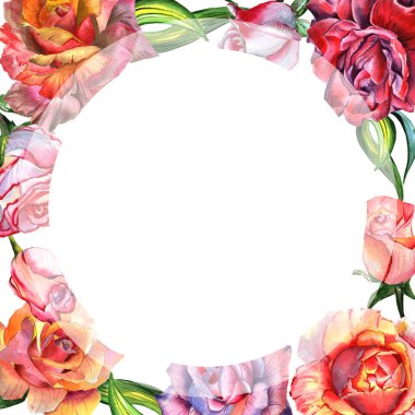 Kır çiçeği gül çiçek çerçeve izole bir suluboya tarzında.