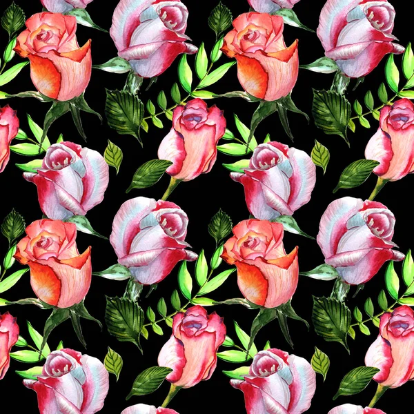 分離された水彩画のワイルドフラワー ローズ花柄. — ストック写真
