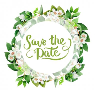 Kır çiçeği Chubushnik çiçek farme izole bir suluboya tarzında.