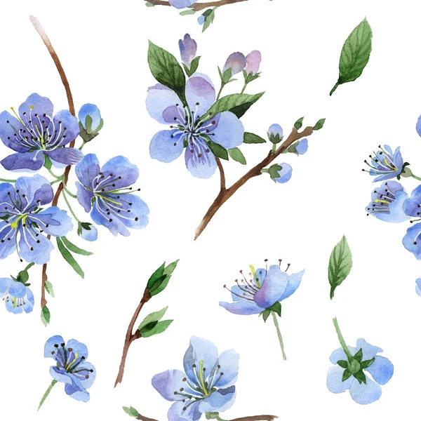 수채화 스타일 절연 야생화 벚꽃 꽃 패턴. — 스톡 사진