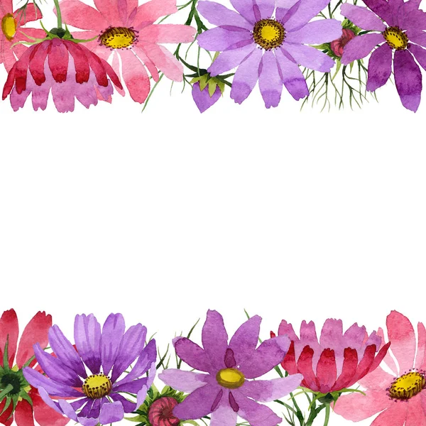 Vadvirág kosmeya virág keret elszigetelt akvarell stílusú. — Stock Fotó
