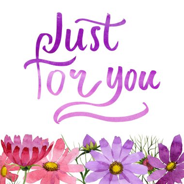 Kır çiçeği kosmeya çiçek çerçeve izole bir suluboya tarzında.