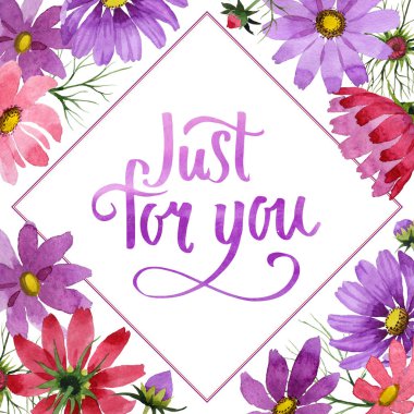 Kır çiçeği kosmeya çiçek çerçeve izole bir suluboya tarzında.