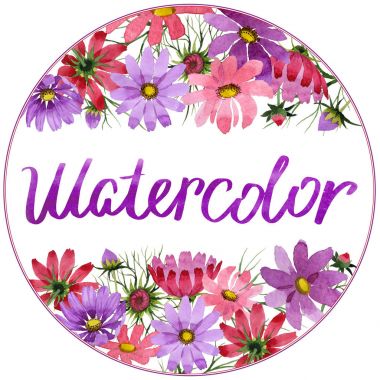 Kır çiçeği kosmeya çiçek çerçeve izole bir suluboya tarzında.