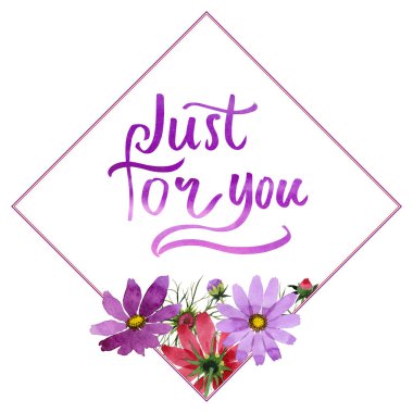 Kır çiçeği kosmeya çiçek çerçeve izole bir suluboya tarzında.