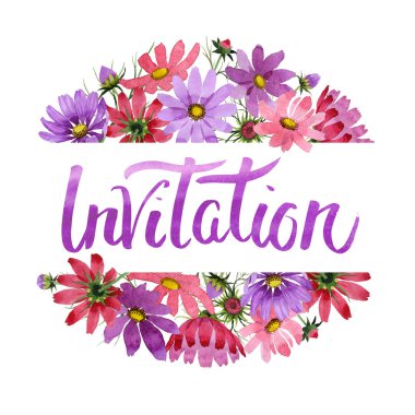 Kır çiçeği kosmeya çiçek çerçeve izole bir suluboya tarzında.