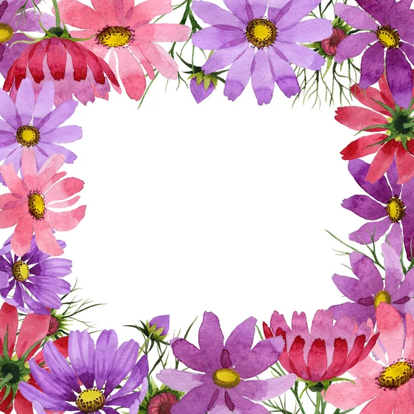 Flor silvestre kosmeya marco de flores en un estilo de acuarela aislado . — Foto de Stock