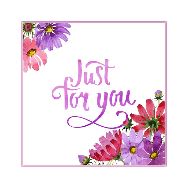 Kır çiçeği kosmeya çiçek çerçeve izole bir suluboya tarzında.