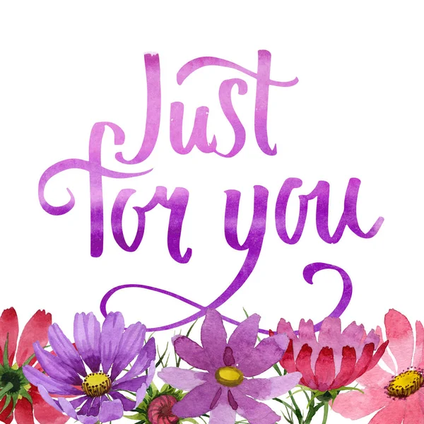 Kır çiçeği kosmeya çiçek çerçeve izole bir suluboya tarzında.