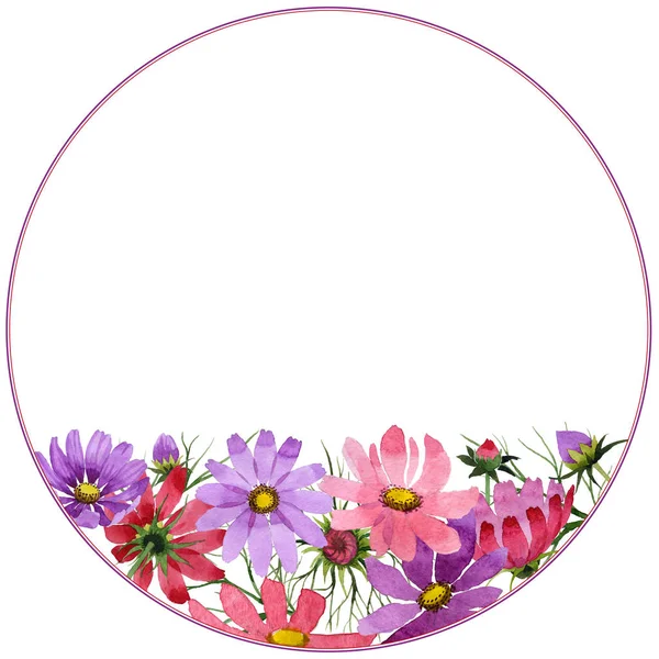 Wildflower kosmeya blomma ram i akvarell stil isolerade. — Stockfoto