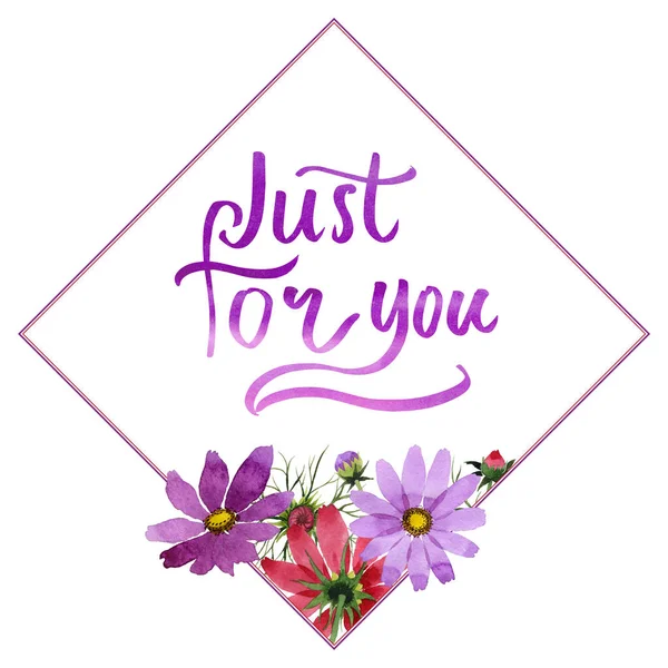 Kır çiçeği kosmeya çiçek çerçeve izole bir suluboya tarzında.