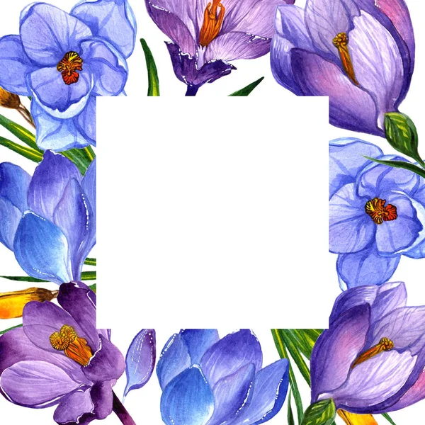 Дика квітка крокує квітковою рамкою в акварельному стилі ізольовано . — стокове фото