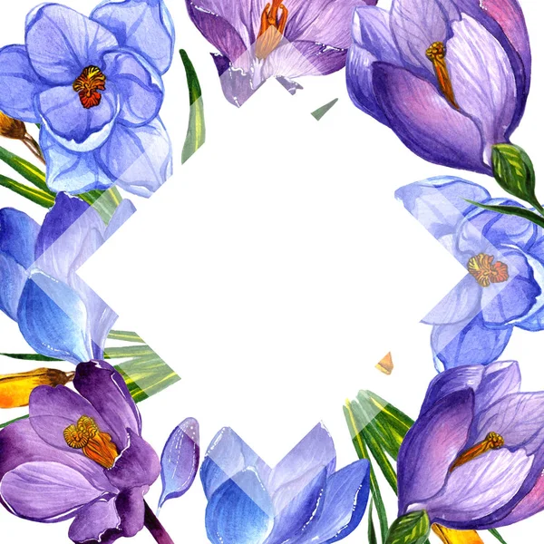 Wildflower krokusy květinový rámeček ve stylu akvarelu, samostatný. — Stock fotografie