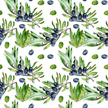 Zeytin ağacı desen izole bir suluboya tarzında.