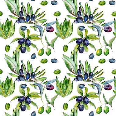 Zeytin ağacı desen izole bir suluboya tarzında.