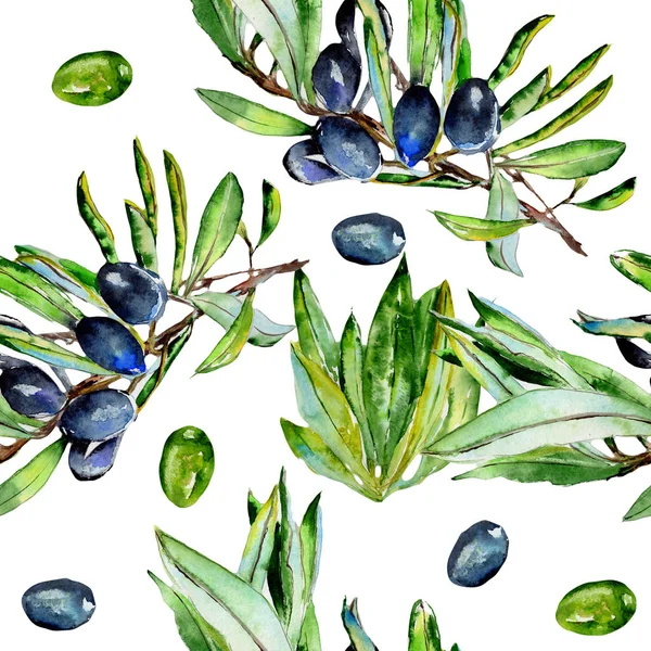 Olive tree pattern  in a watercolor style isolated.