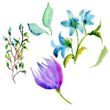 Kır çiçeği çiçek izole bir suluboya tarzında.