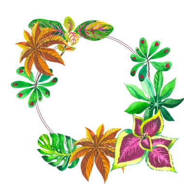 Tropikal Hawaii palmiye ağacı çerçeve izole bir suluboya tarzında bırakır..