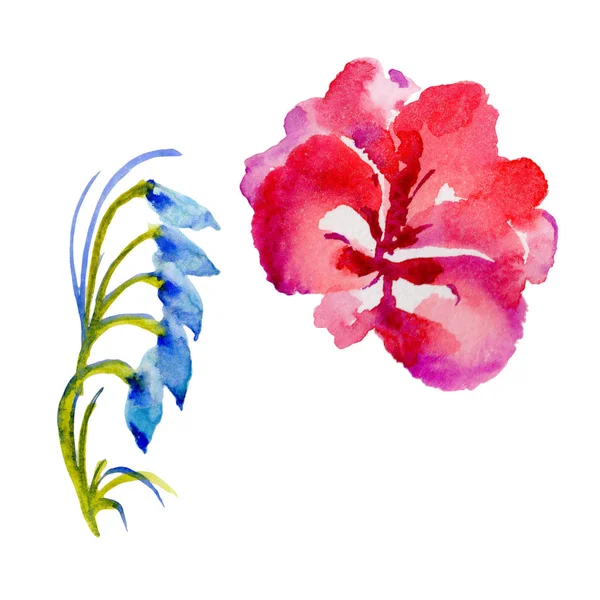 Wildflower květina ve stylu akvarelu, samostatný. — Stock fotografie