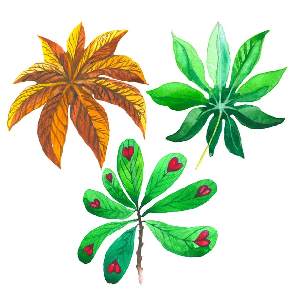 하와이 열 대 격리 수채화 스타일에 야자수 잎. — 스톡 사진