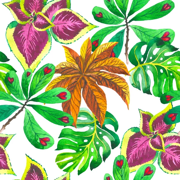 Tropicale Hawaii foglie di palma modello in stile acquerello isolato . — Foto Stock