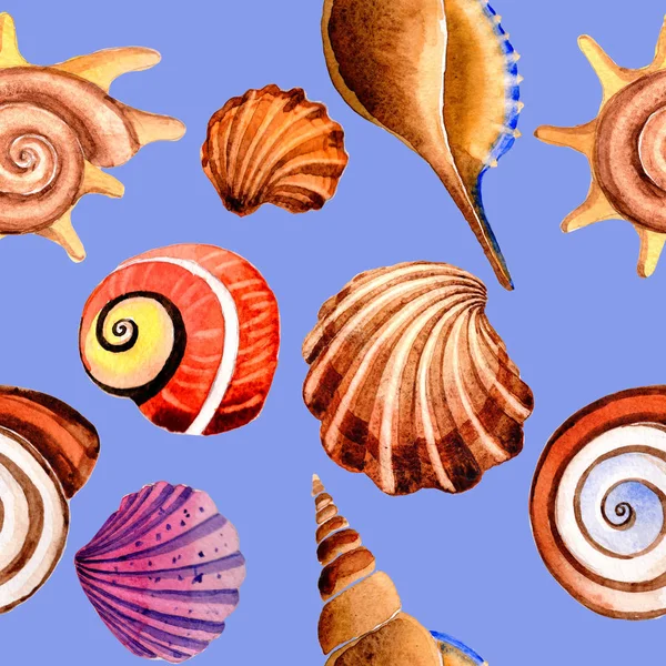 Watercolor summer beach seashell tropical elements pattern, underwater creatures. — Stock Photo, Image