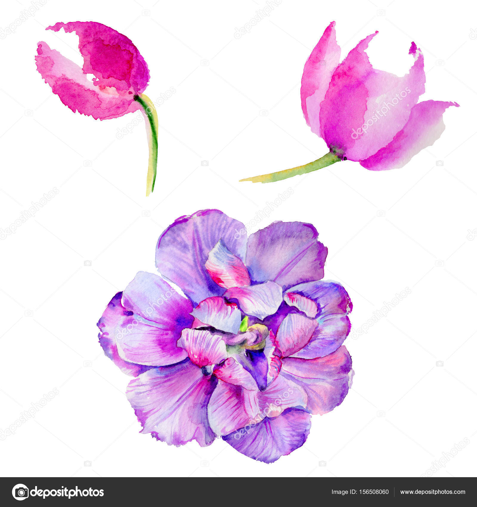 Flor silvestre violeta fotos de stock, imágenes de Flor silvestre violeta sin royalties | Depositphotos Flor silvestre violeta fotos de stock, imágenes de Flor silvestre violeta sin royalties | Depositphotos