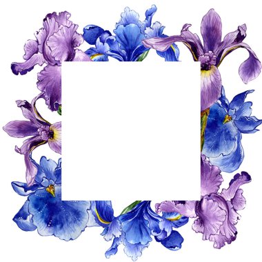 Kır çiçeği Iris çiçek çerçeve izole bir suluboya tarzında.