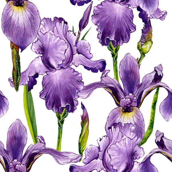 Padrão de flor de íris de flores silvestres em um estilo aquarela isolado . — Fotografia de Stock