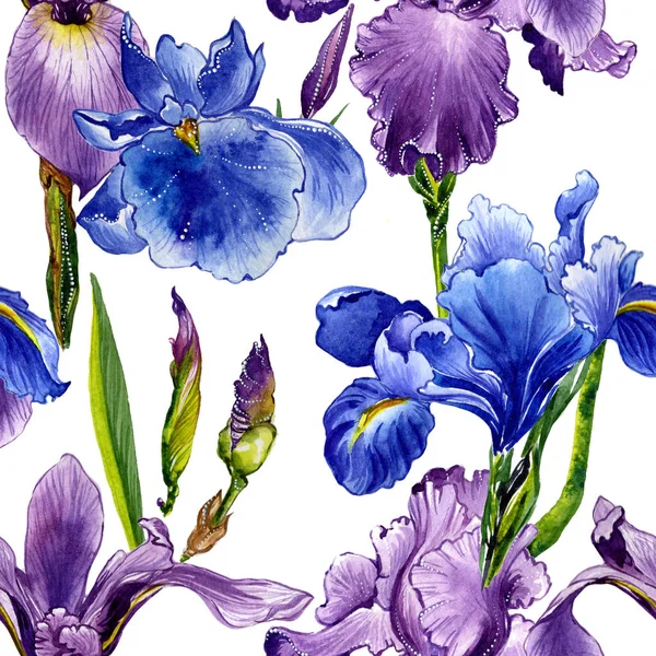 分離された水彩画のワイルドフラワー アイリス花のパターン. — ストック写真