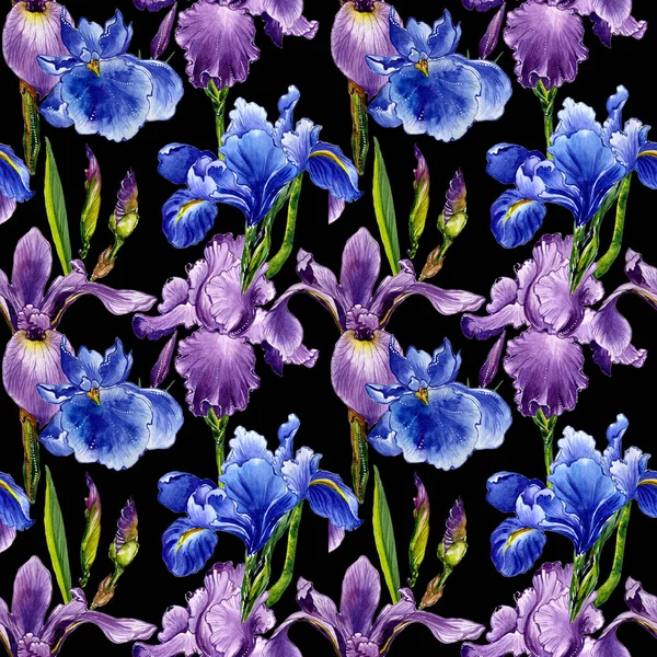 Patrón de flores de iris de flor silvestre en un estilo de acuarela aislado . — Foto de Stock