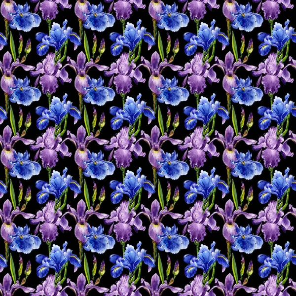 Wildflower iris flower pattern in a watercolor style isolated. — Stock Photo, Image