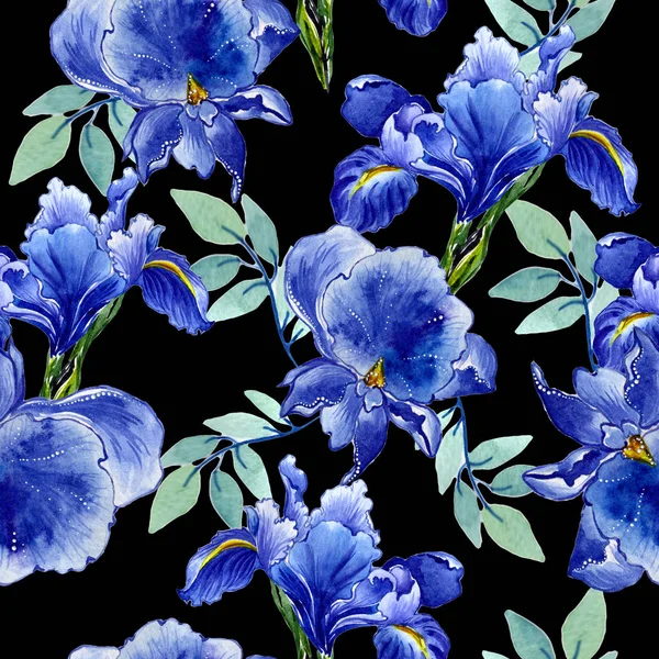 分離された水彩画のワイルドフラワー アイリス花のパターン. — ストック写真