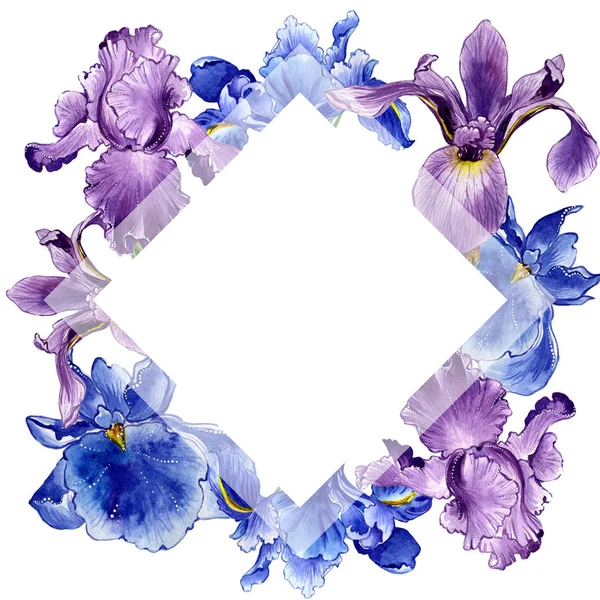 Fiore di campo iris cornice floreale in stile acquerello isolato . — Foto Stock