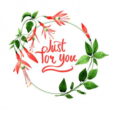 Kır çiçeği orkide çiçek çerçeve izole bir suluboya tarzında.