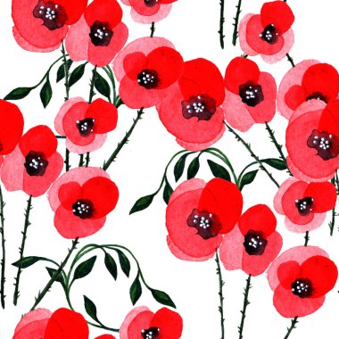 Kır çiçeği haşhaş çiçek deseni izole bir suluboya tarzında.