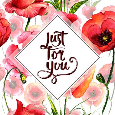 Kır çiçeği haşhaş çiçek çerçeve izole bir suluboya tarzında.