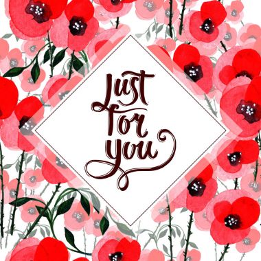 Kır çiçeği haşhaş çiçek çerçeve izole bir suluboya tarzında.